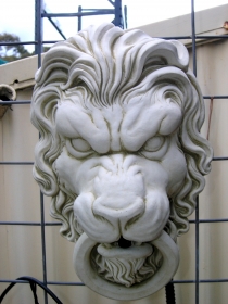 Lion Head 